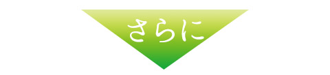 さらに
